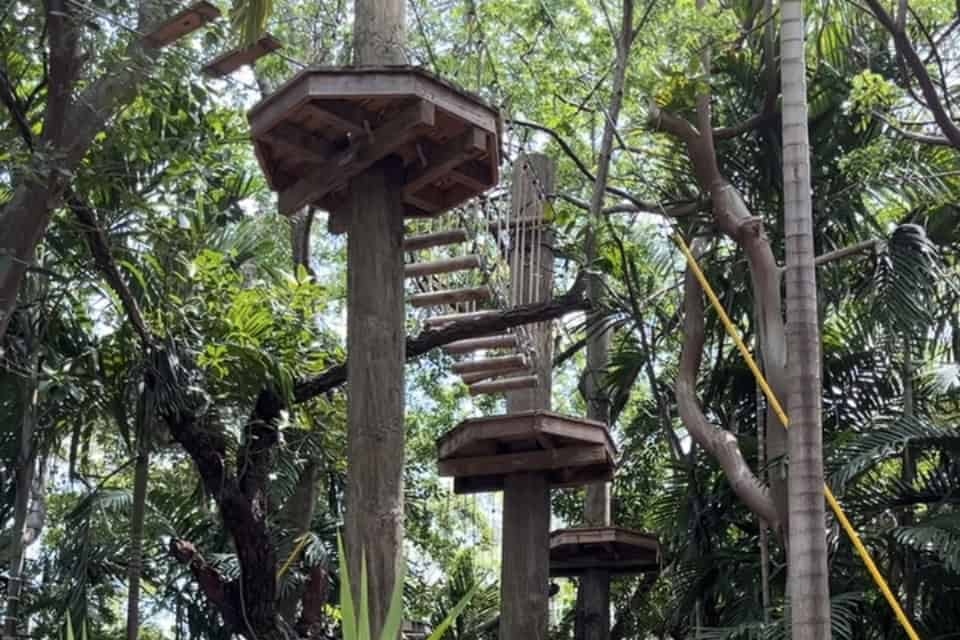 treetop trekking near me