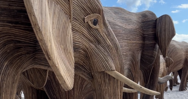 The Great Elephant Migration on Miami Beach during Miami Art Week